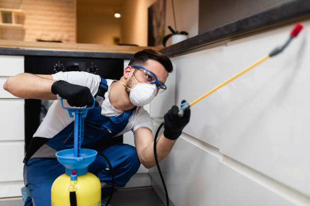 Best Mosquito Control Services  in Bowling Green, FL