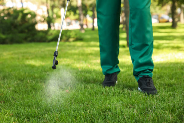 Best Termite Control Services  in Bowling Green, FL