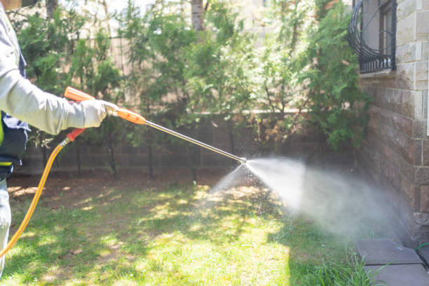 Best Emergency Pest Control  in Bowling Green, FL