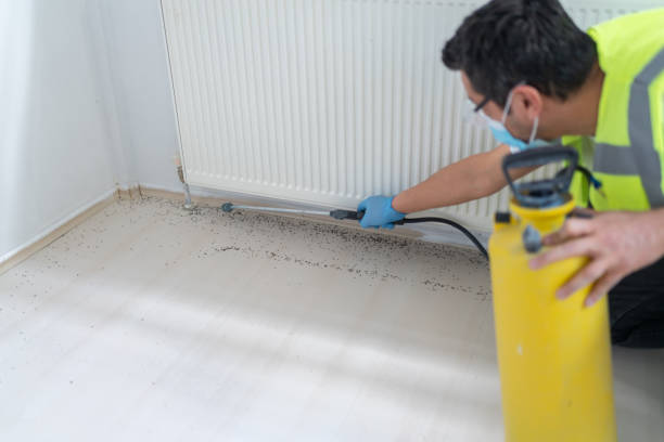 Pest Control for Restaurants in Bowling Green, FL