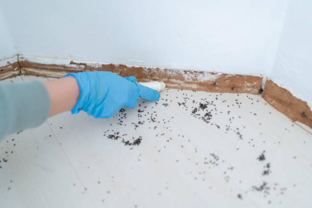 Best Pest Control for Restaurants  in Bowling Green, FL