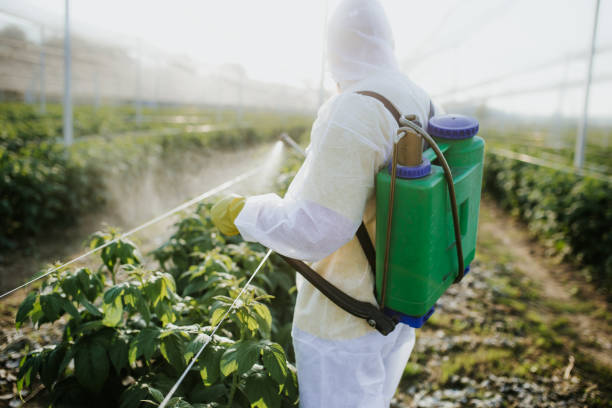 Best Pest Inspection Near Me  in Bowling Green, FL